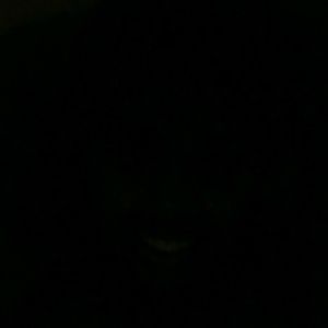 Meet your Posher, Dante